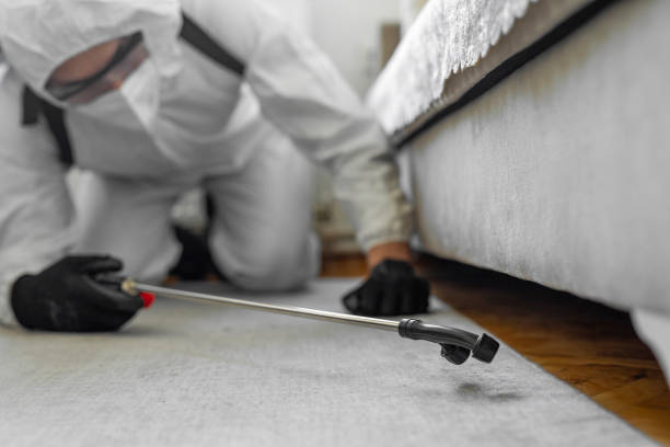 Professional Cockroach Control technician working in Shafer, MN